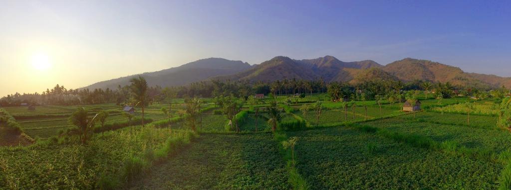 D'Sawah Amed Homestay & Warung Szoba fotó