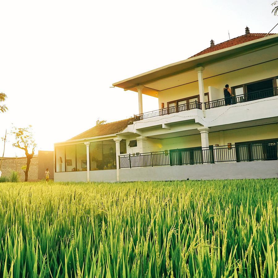 D'Sawah Amed Homestay & Warung Kültér fotó